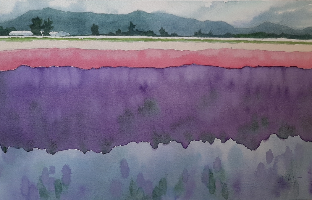 Hyacinth Fields